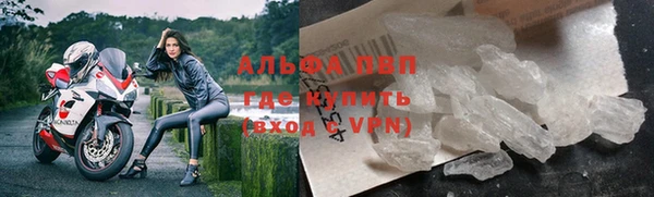 ECSTASY Новозыбков