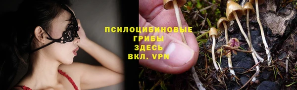 прущий лед Няндома