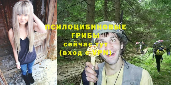 эйфоретик Нязепетровск