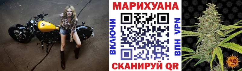 Марихуана семена  как найти наркотики  Пестово 